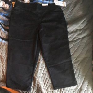 INTRO love the fit Capri